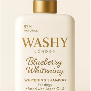 Blueberry Whitening Shampoo With Argan Oil